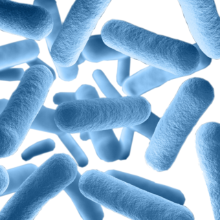   蓝色细菌微生物